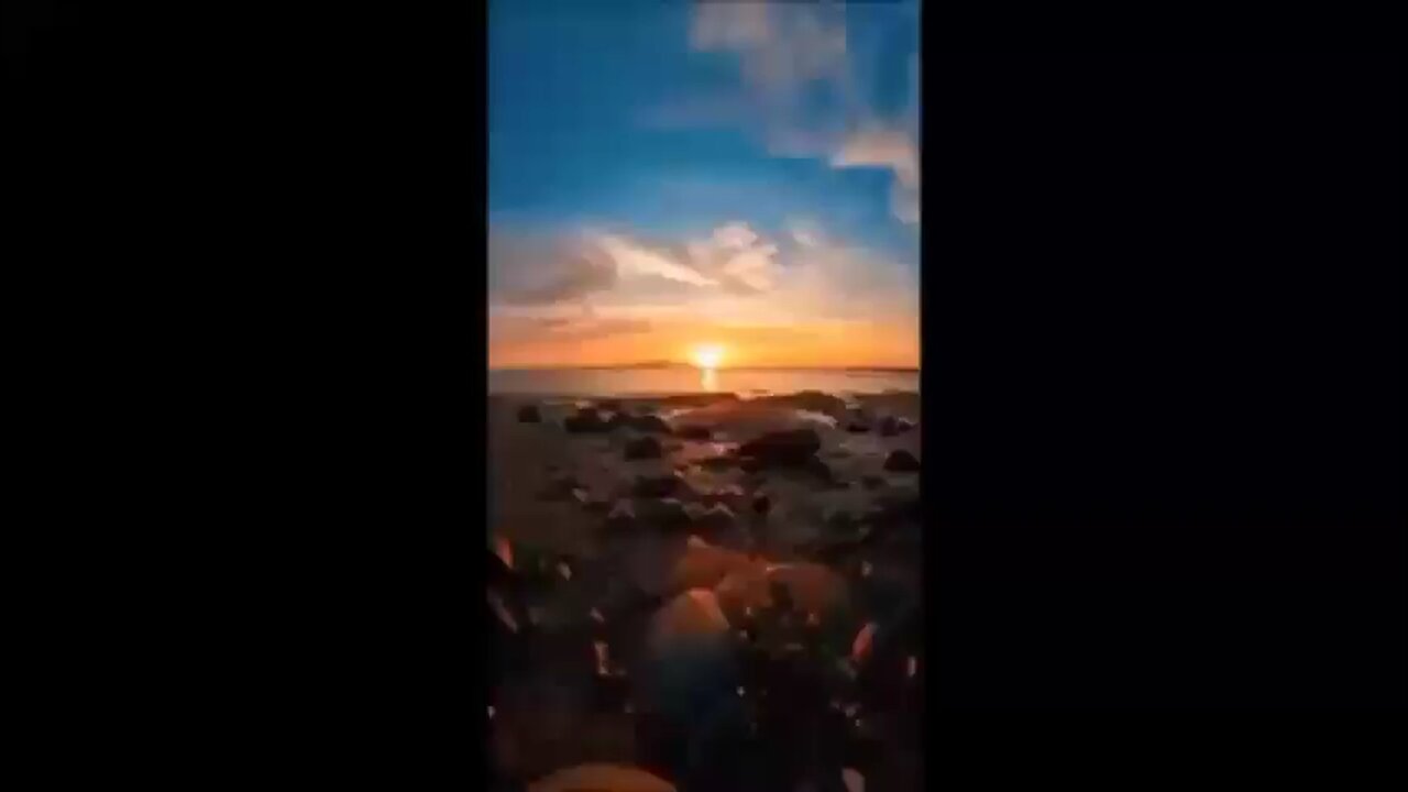 Why Were Dolphin Assisted Births Prohibited?