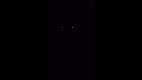 A list of cases that are unrelated except for the officer assigned to them