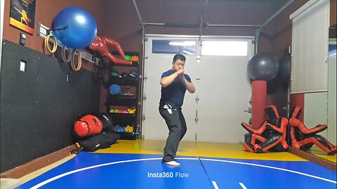 WTD 2 Step Kick Combination 129