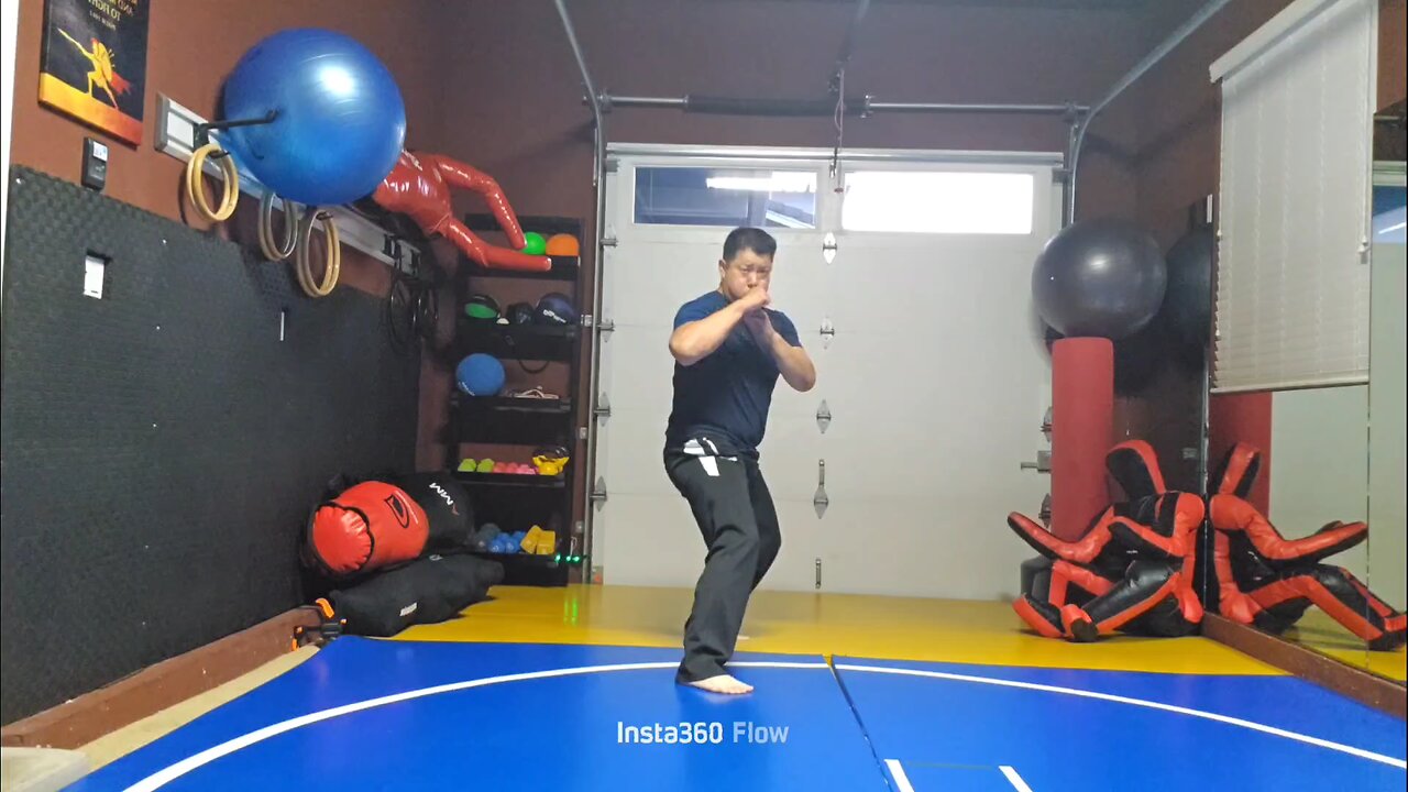 WTD 2 Step Kick Combination 129