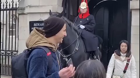 King's guard