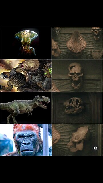 Skulls from Predator Badlands