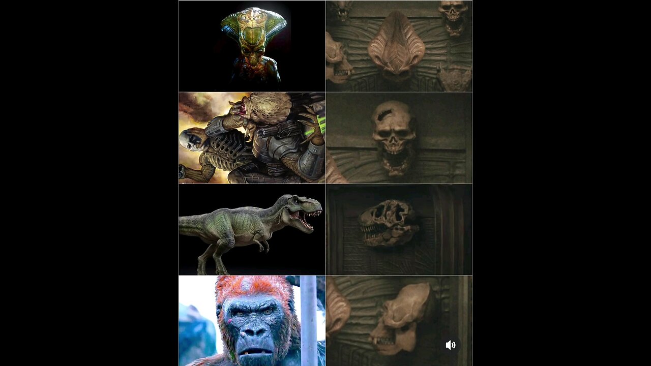 Skulls from Predator Badlands