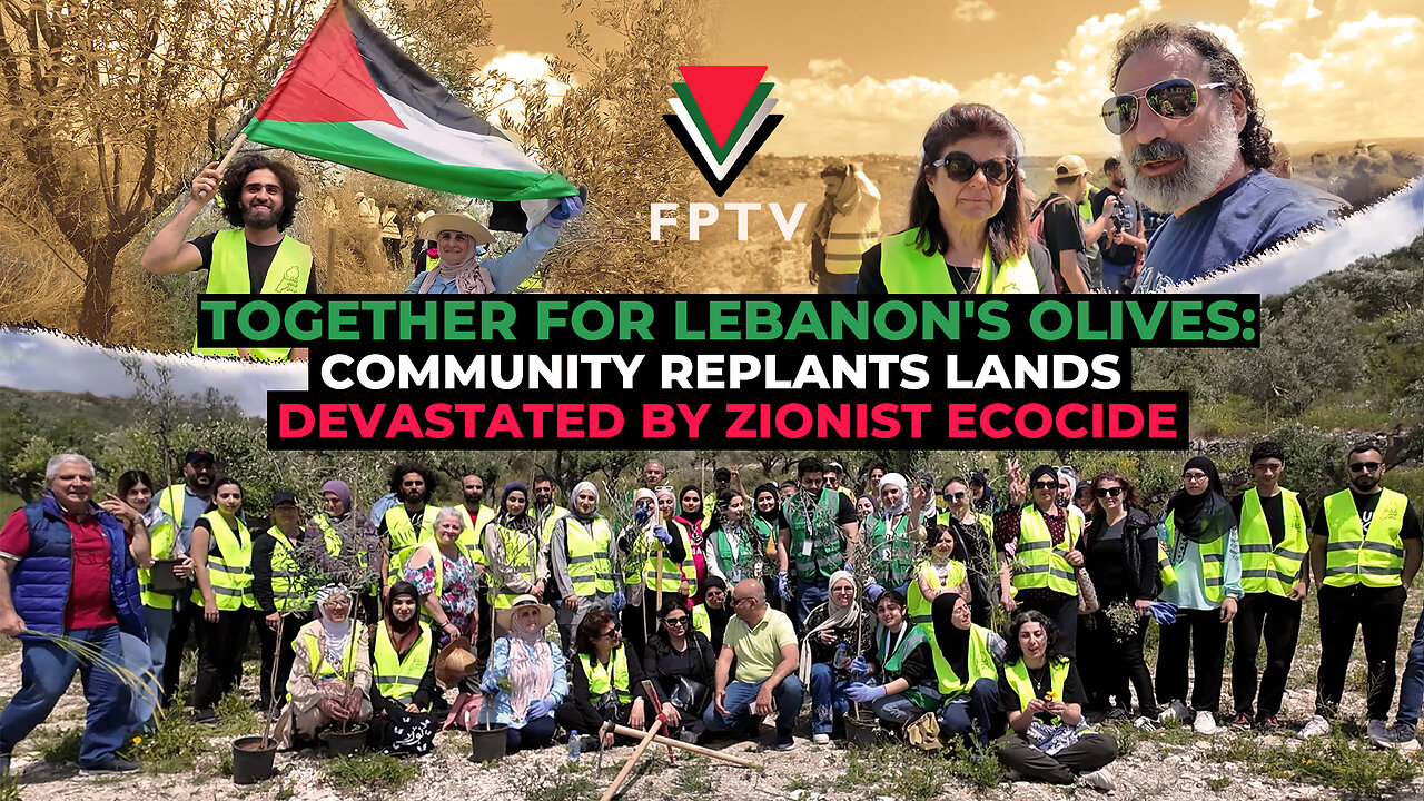 Together for Lebanon's Olives: Community Replants Lands Devastated by Zionist Ecocide