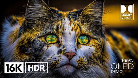 Best 16K Video ULTRA HD 120 FPS | Dolby Vision HDR 4K/8K Video