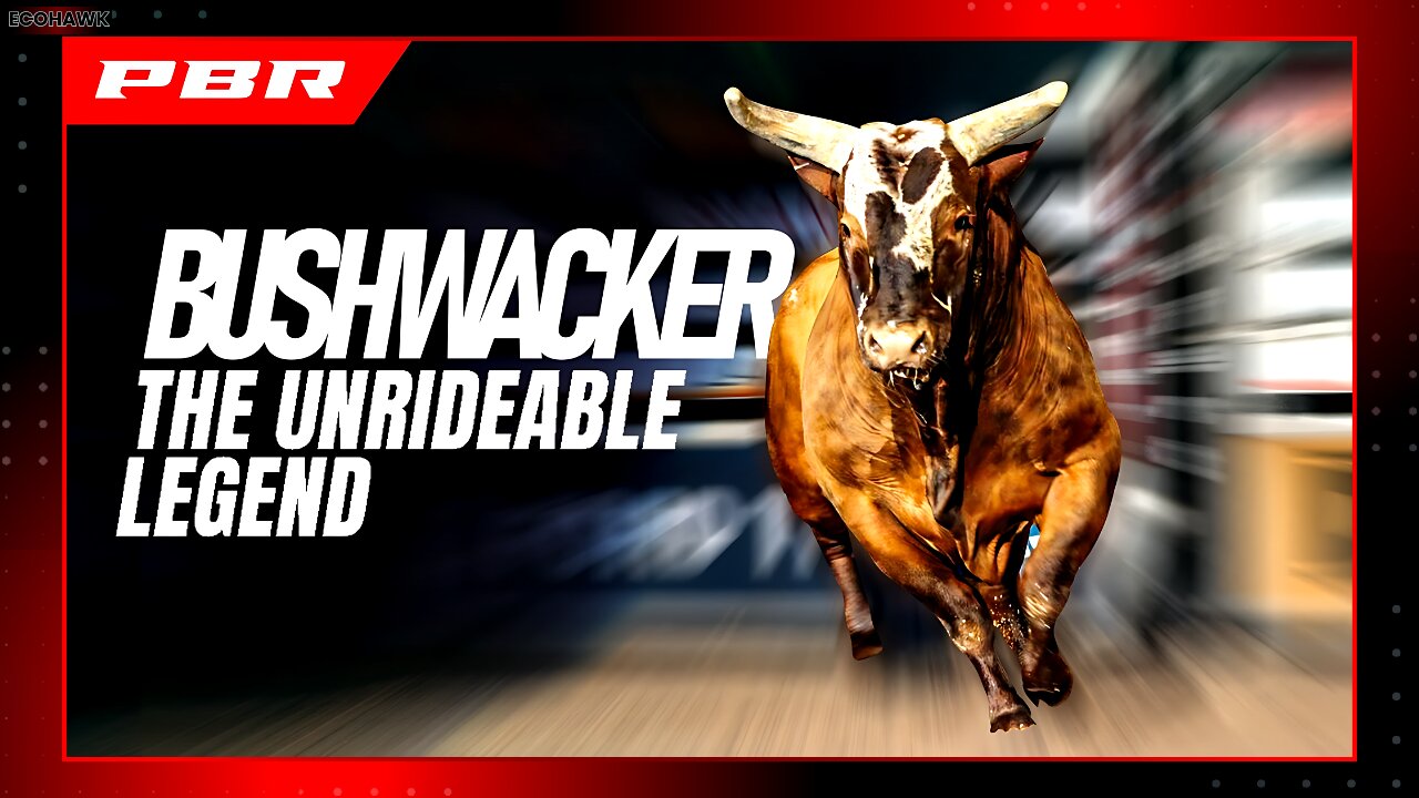 Bushwacker Hates When Humans Try & Ride Him: The Unrideable Bull That Changed PBR Forever