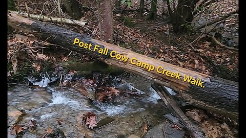 Post Fall Cow Camp Creek Walk