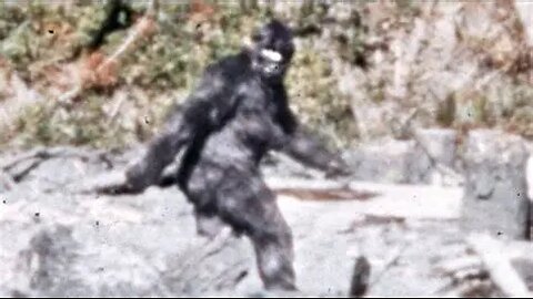 the Anomalous World of Bigfoot and Yeti