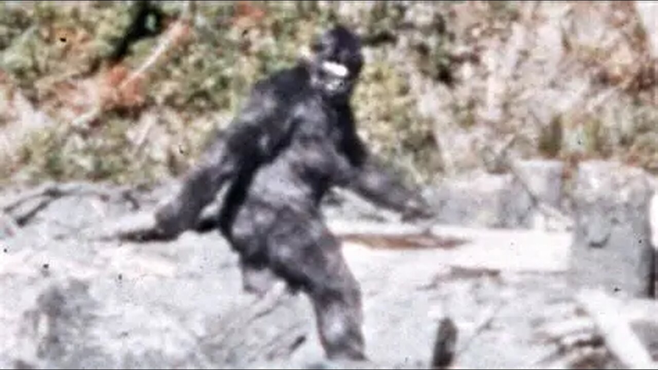the Anomalous World of Bigfoot and Yeti