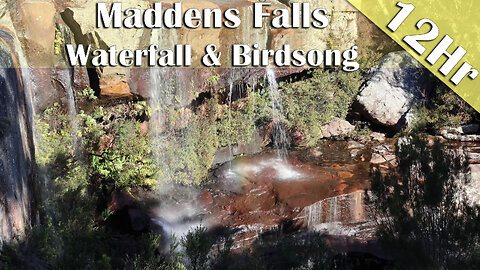 12 Hours of Waterfall & Birdsong Ambience | Deep Sleep, Study & Relaxation Sounds