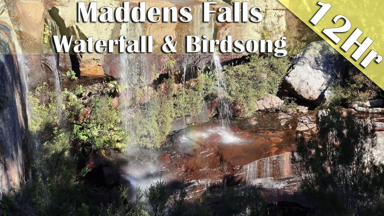 12 Hours of Waterfall & Birdsong Ambience | Deep Sleep, Study & Relaxation Sounds