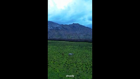 lovely nature