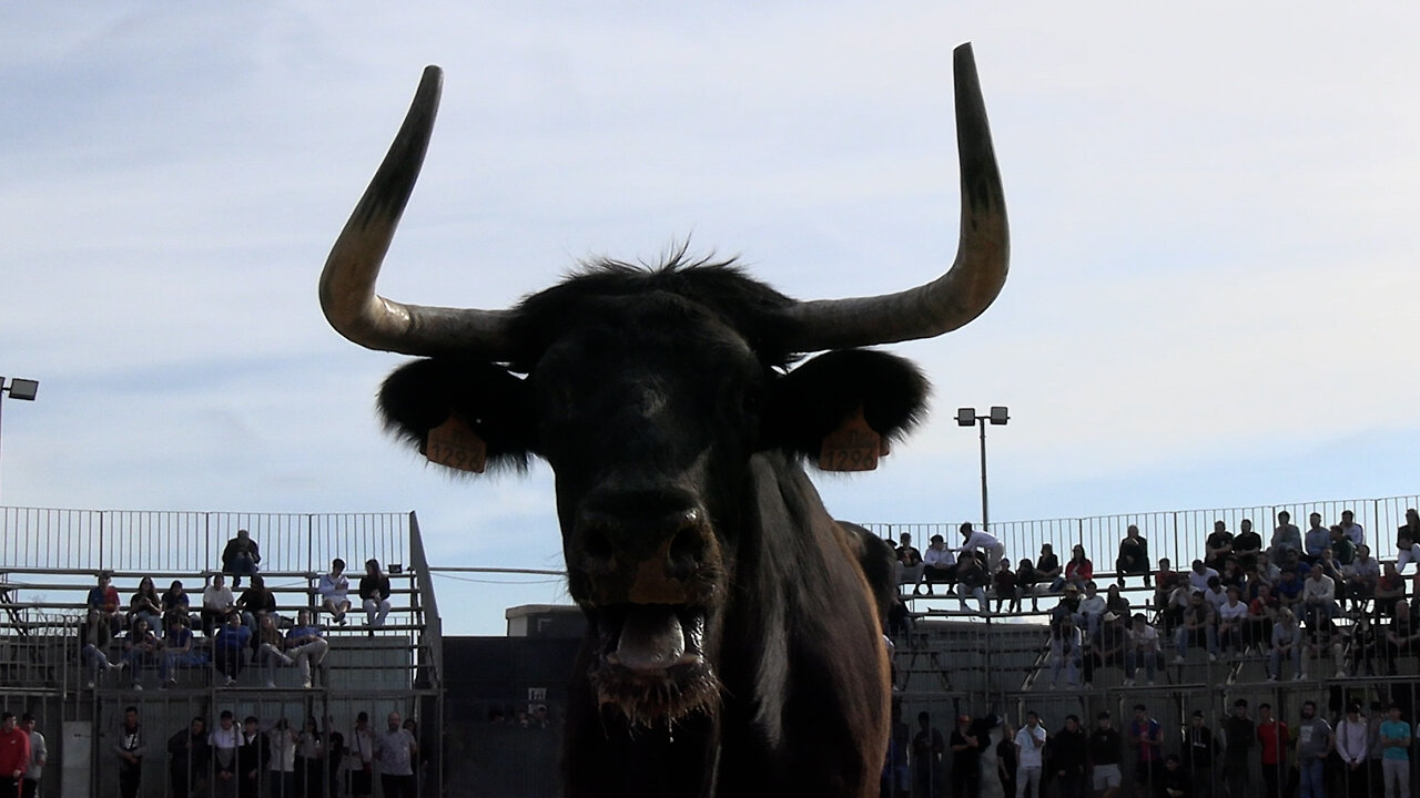 2025 04 06 MASSAMAGRELL TARDE EULOGIO MATEO