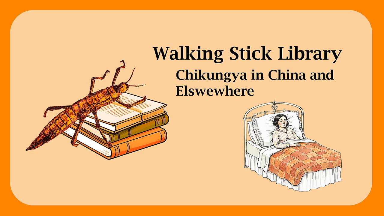 Chikungunya in China and Elsewhere