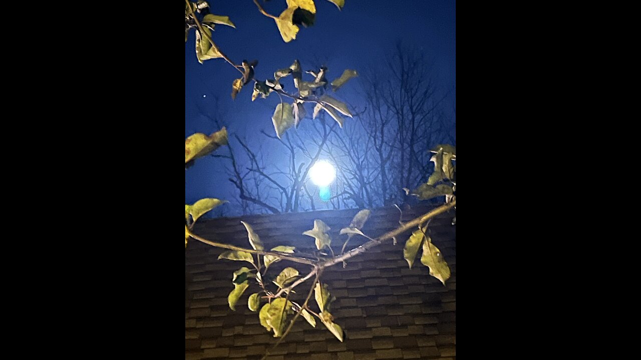 Happy Super Moon 2025 🌕