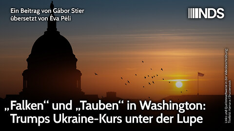 „Falken“ und „Tauben“ in Washington: Trumps Ukraine-Kurs unter der Lupe | Gábor Stier | NDS