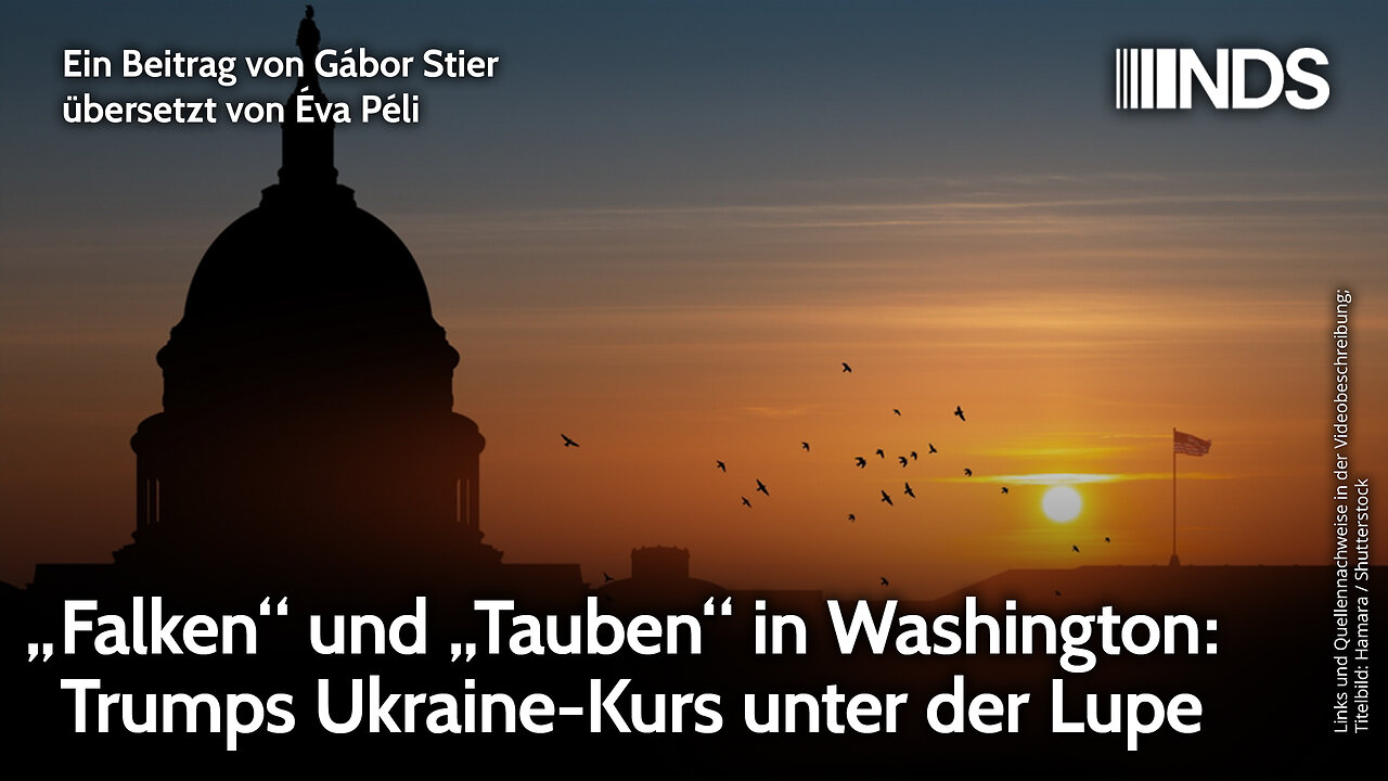 „Falken“ und „Tauben“ in Washington: Trumps Ukraine-Kurs unter der Lupe | Gábor Stier | NDS