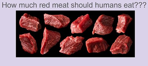 EP38 - How much red meat should humans eat??