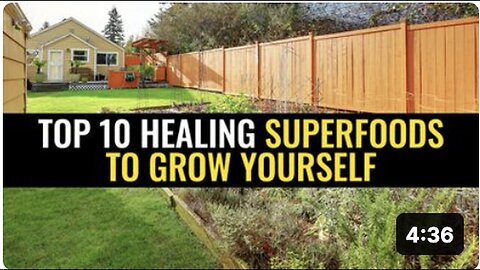 "Grow These Top 10 Healing Superfoods Yourself"