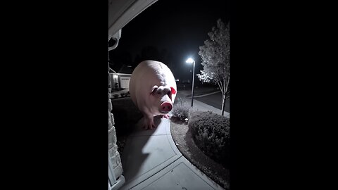 Giant Pig Caught on Security Camera 🐷👀 Terrifying Horror Footage