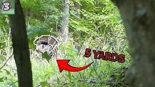 Gobbler Comes In STRUTTING To 5 YARDS! (Virginia Turkey Hunting)