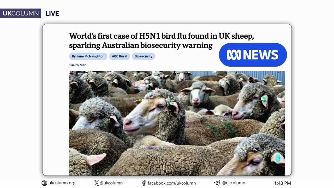 Bird Flu in Sheep? I’ll Believe It When Sheep Can Fly! - UK Column News
