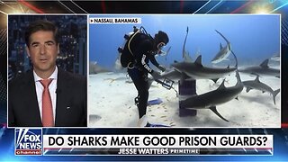 Do SHARKS make good Prison Guards?!