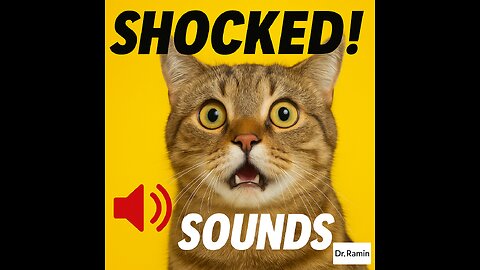 Animals Reacting to Shocking Sounds – Try Not to Laugh!