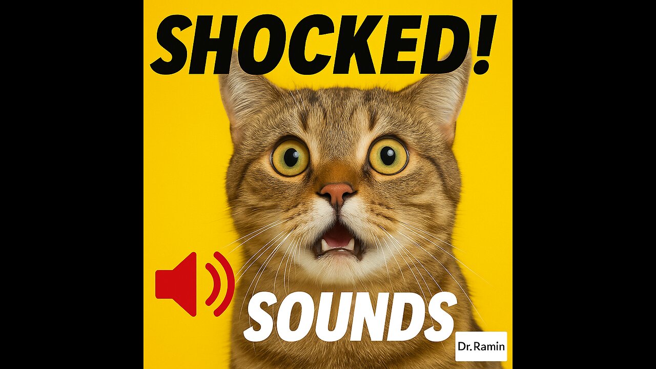 Animals Reacting to Shocking Sounds – Try Not to Laugh!