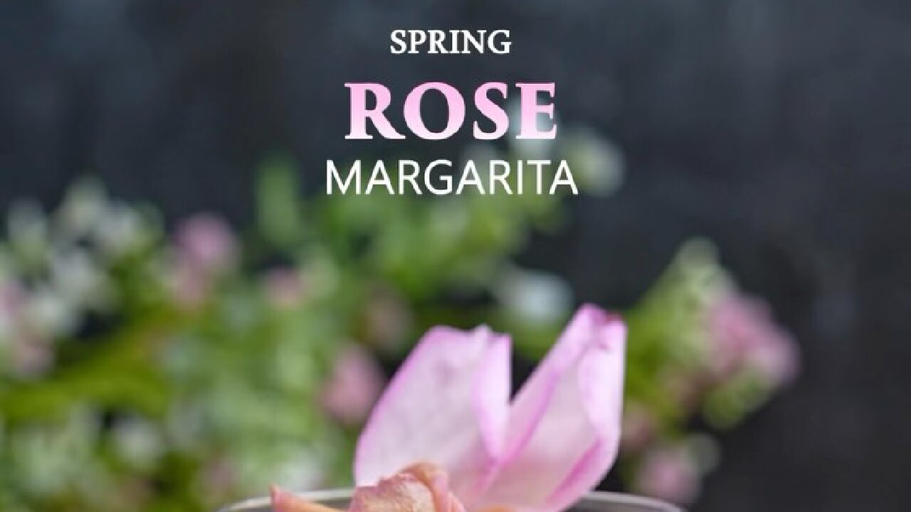 COCKTAIL SPRING ROSE MARGARITA