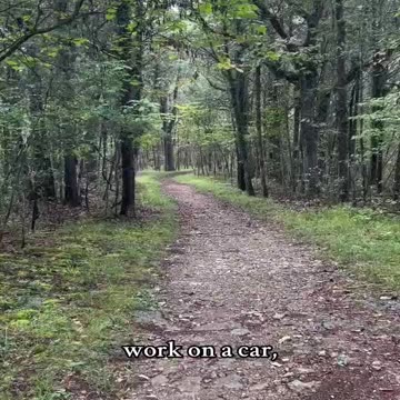 After 13 years of government education