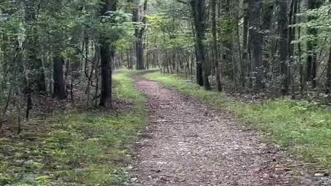 After 13 years of government education