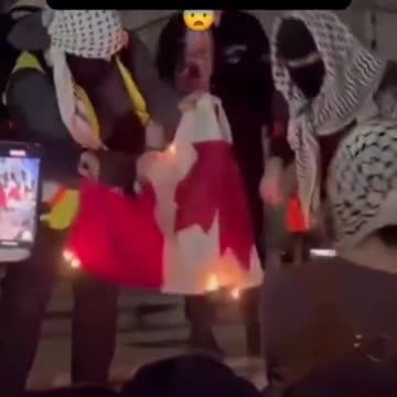 CANADIAN MAN ARRESTED FOR BURNING PALESTINIAN FLAG IN DOWNTOWN TORONTO
