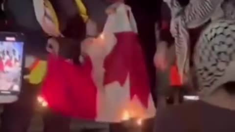 CANADIAN MAN ARRESTED FOR BURNING PALESTINIAN FLAG IN DOWNTOWN TORONTO