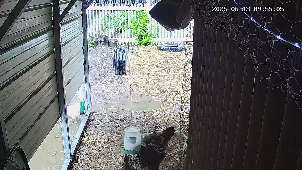 Rain Day!