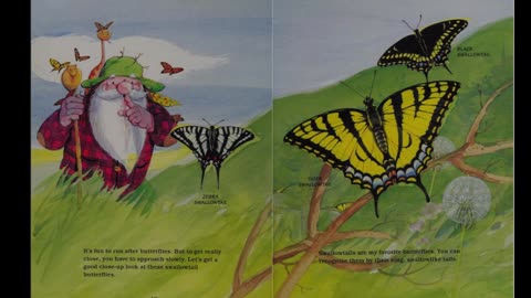 Crinkleroot's Guide to Knowing Butterflies & Moths