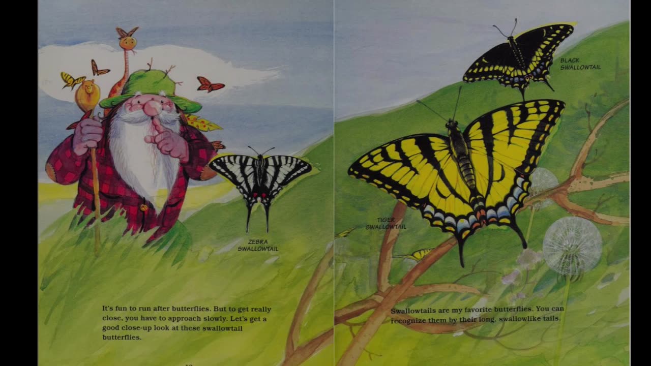 Crinkleroot's Guide to Knowing Butterflies & Moths