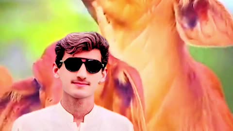 Eid dul azha