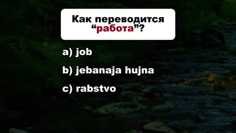 "Ты точно знаешь английский? 🤔 Узнай правду!"