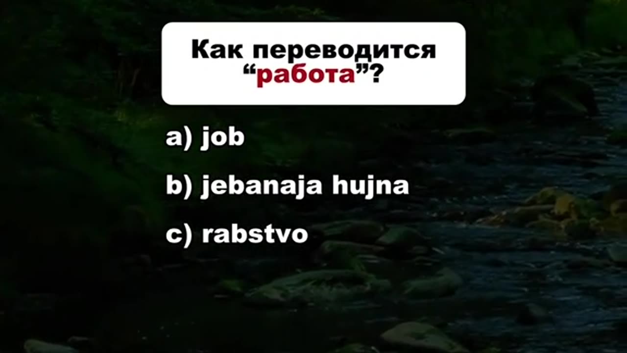"Ты точно знаешь английский? 🤔 Узнай правду!"