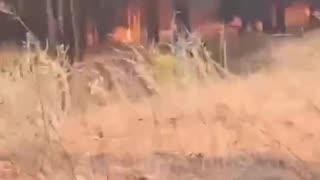 🔥 Burned down of Russian ammunition depot in occupied part of Kherson region.