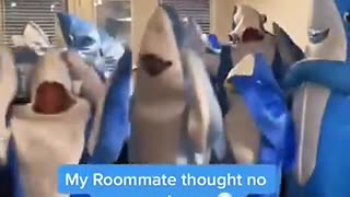 Amazing: 15th Camerman joins Viral Sharks #LeftShark #KatyPerry #DancingShark #D