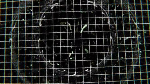 🤯✨ The Mind-Bending Power of Gravitational Lensing! | FeedMyCuriosity