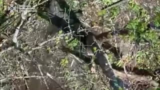 ⚡️FPV drones deliver pinpoint strikes on occupier positions in the Luhansk