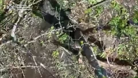 ⚡️FPV drones deliver pinpoint strikes on occupier positions in the Luhansk