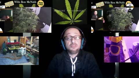 Grow 420 Today