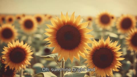 Sunshine Song
