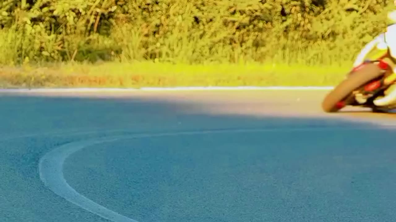 Speed need bikes