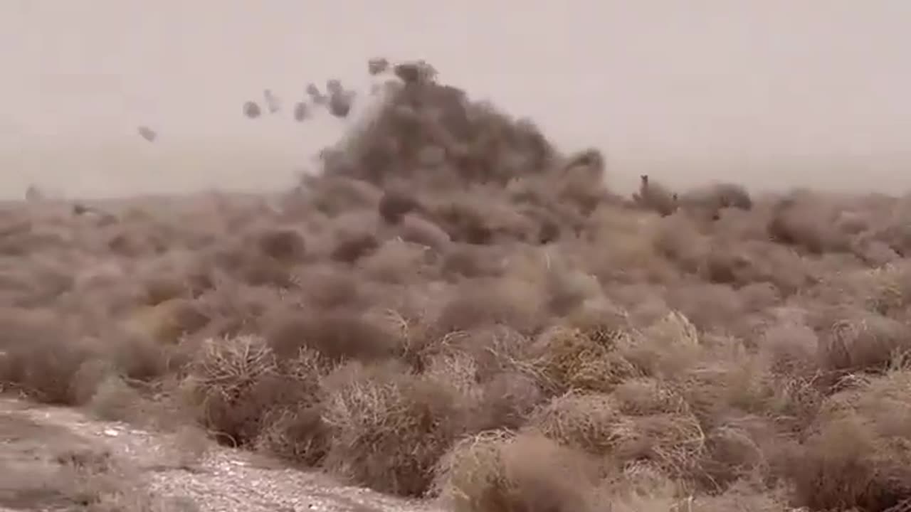 Utah on a windy day.