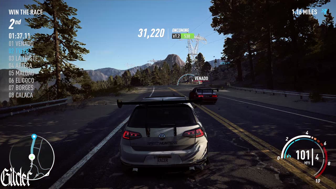 Mountain Run
